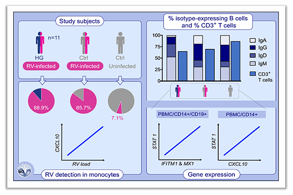 hypogammaglobulinemia