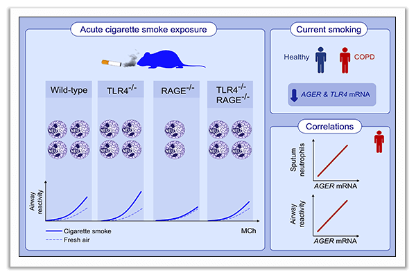 chronic obstructive pulmonary disease