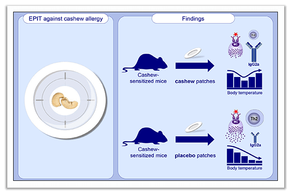 allergen immunotherapy