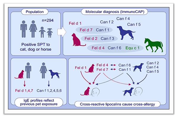 pet allergy