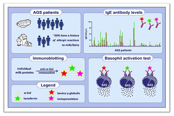 α-Gal syndrome