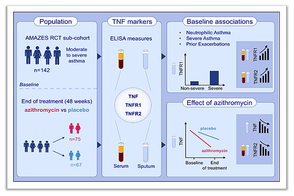 inflammation