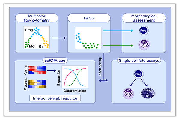 transcriptomics