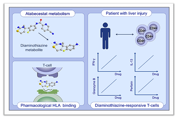 drug-induced liver injury