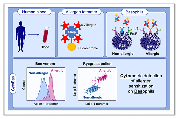 component-resolved diagnostics