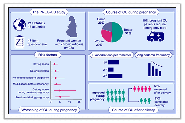 Effects of pregnancy on chronic urticaria