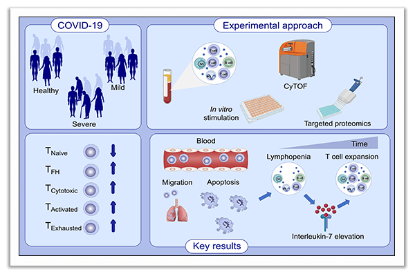 lymphopenia