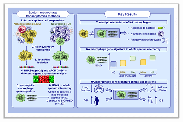 transcriptome