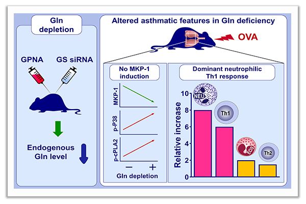 neutrophilic airway inflammation