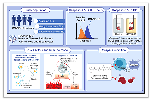 Caspase