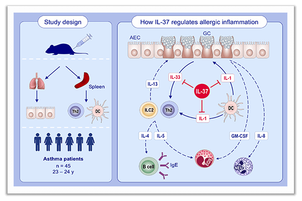 asthma treatment